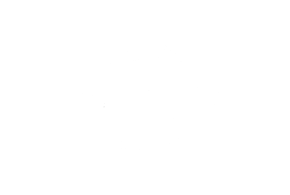 David Jesse logo