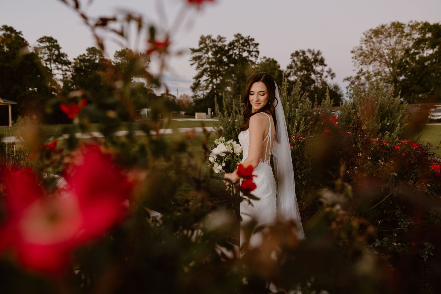 Golden hour bridal portrait in a garden with red flowers and white bouquet.