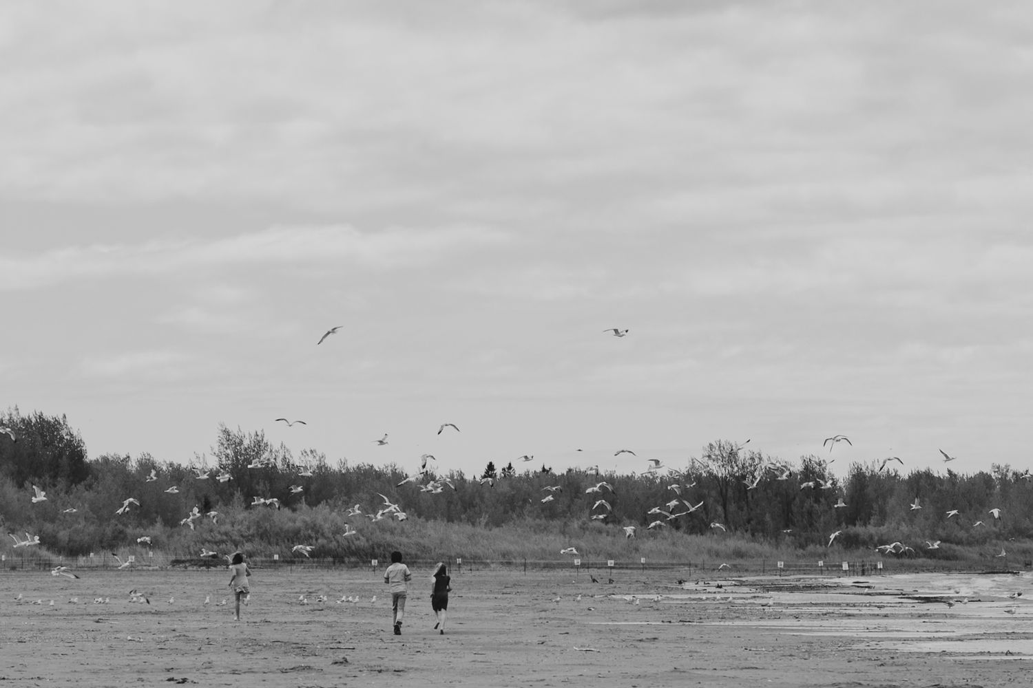 Black and white panoramic photograph showing destruction and debris in the aftermath of a tornado.