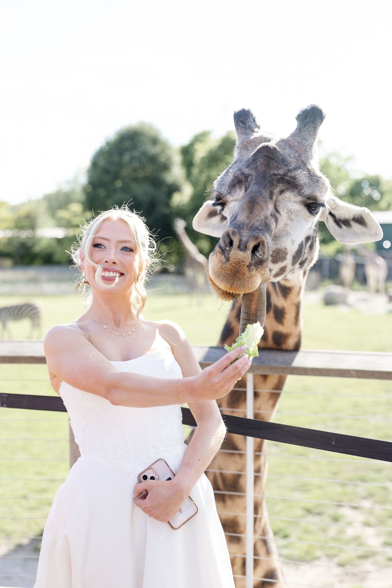 Wedding day photos at The Toledo Zoo in Toledo, Ohio photographed by Julia & Sean Photography, Ohio wedding photographers