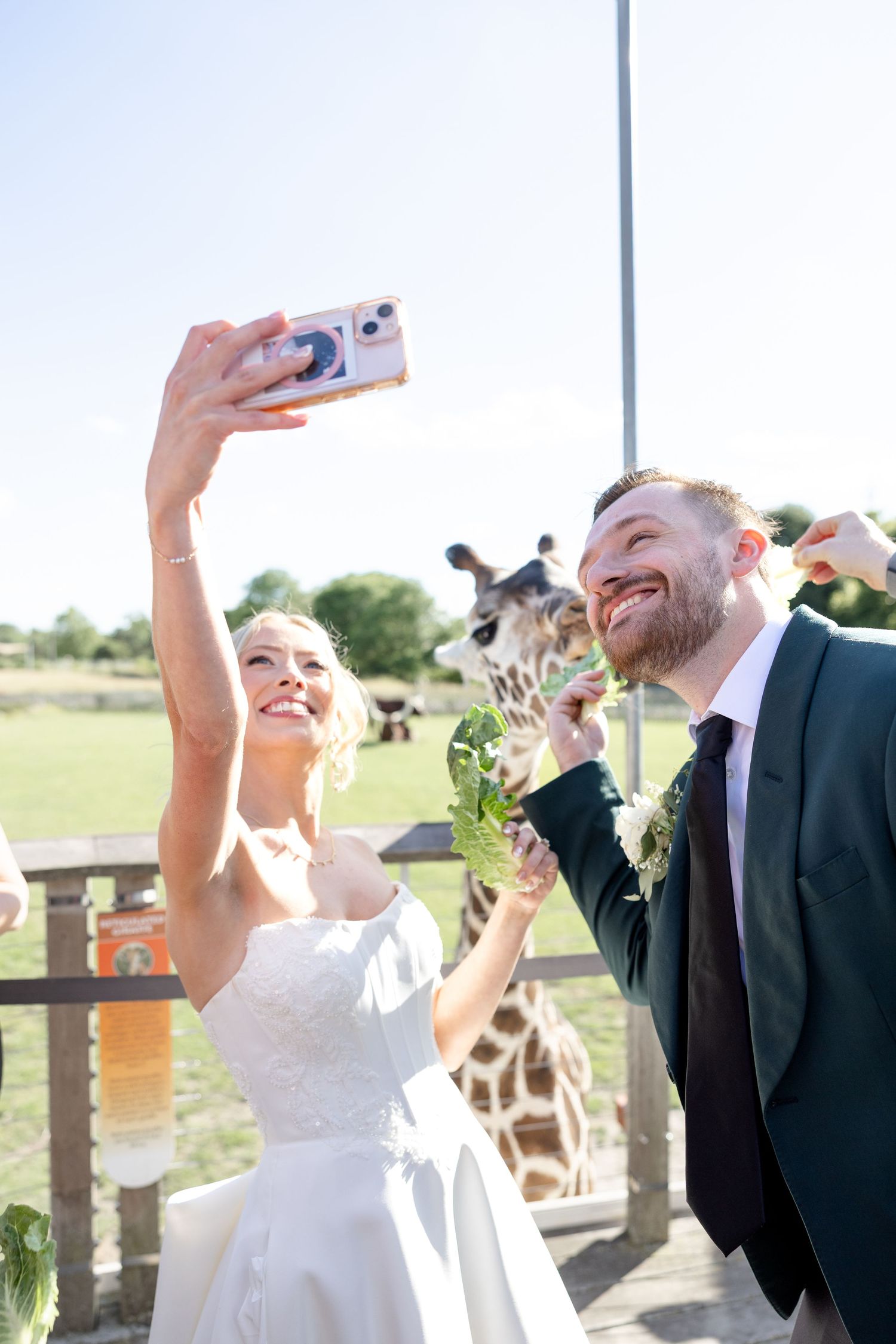 Wedding day photos at The Toledo Zoo in Toledo, Ohio photographed by Julia & Sean Photography, Ohio wedding photographers