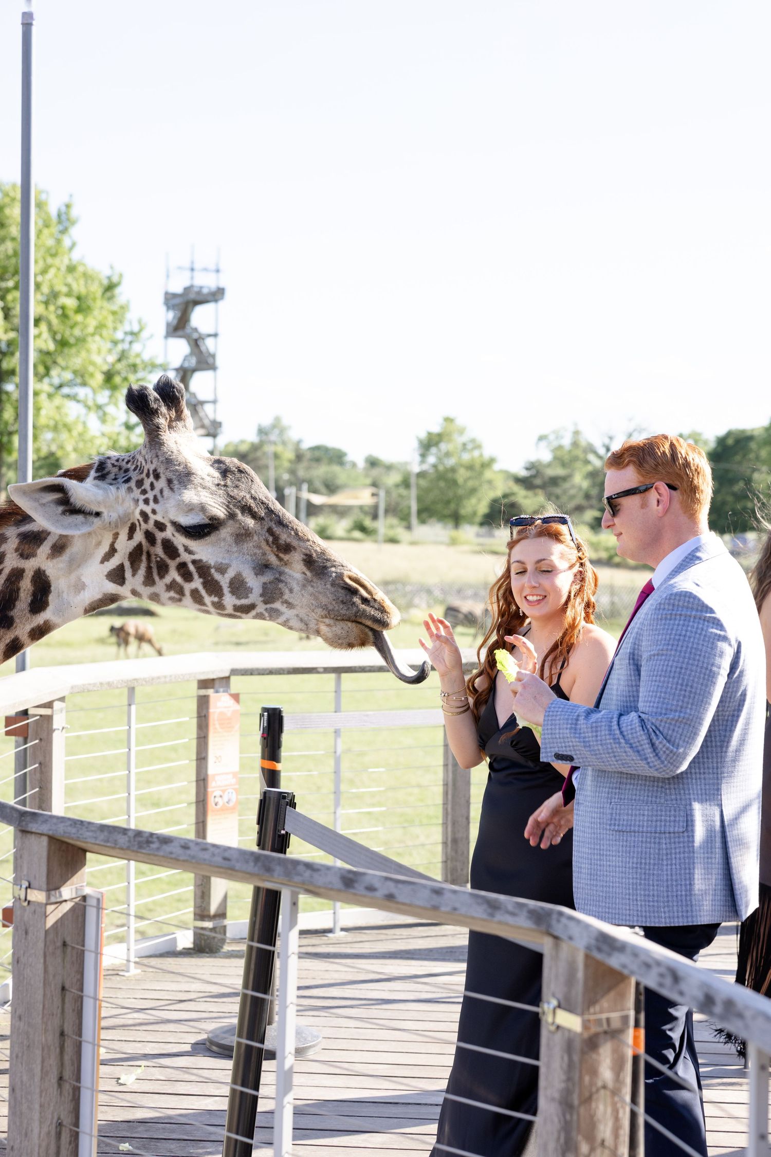 Wedding day photos at The Toledo Zoo in Toledo, Ohio photographed by Julia & Sean Photography, Ohio wedding photographers