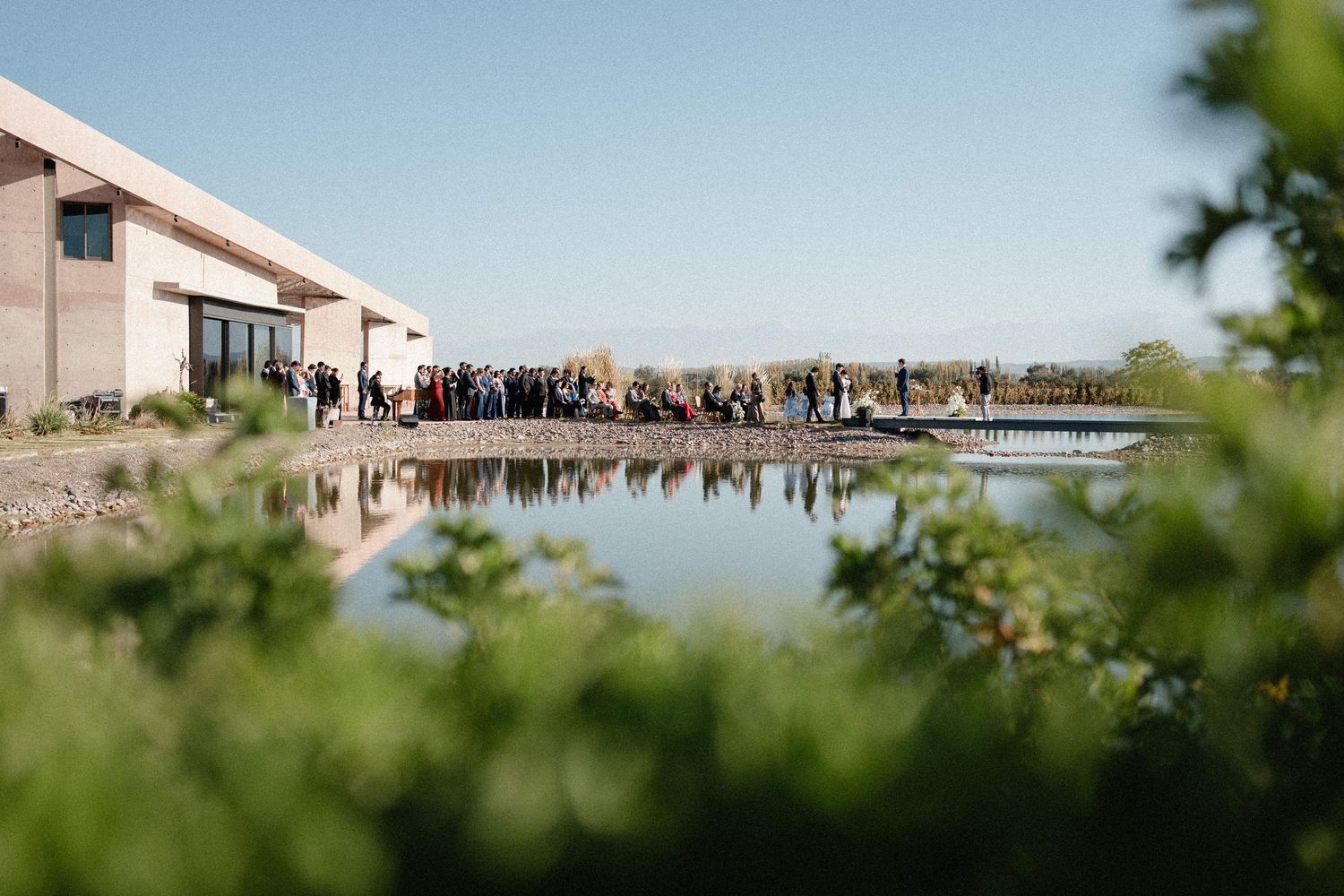 A panoramic view of a modern building complex with glass walls surrounded by lush green foliage on a sunny day.
