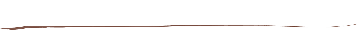 A thin red horizontal line appears on a white background.