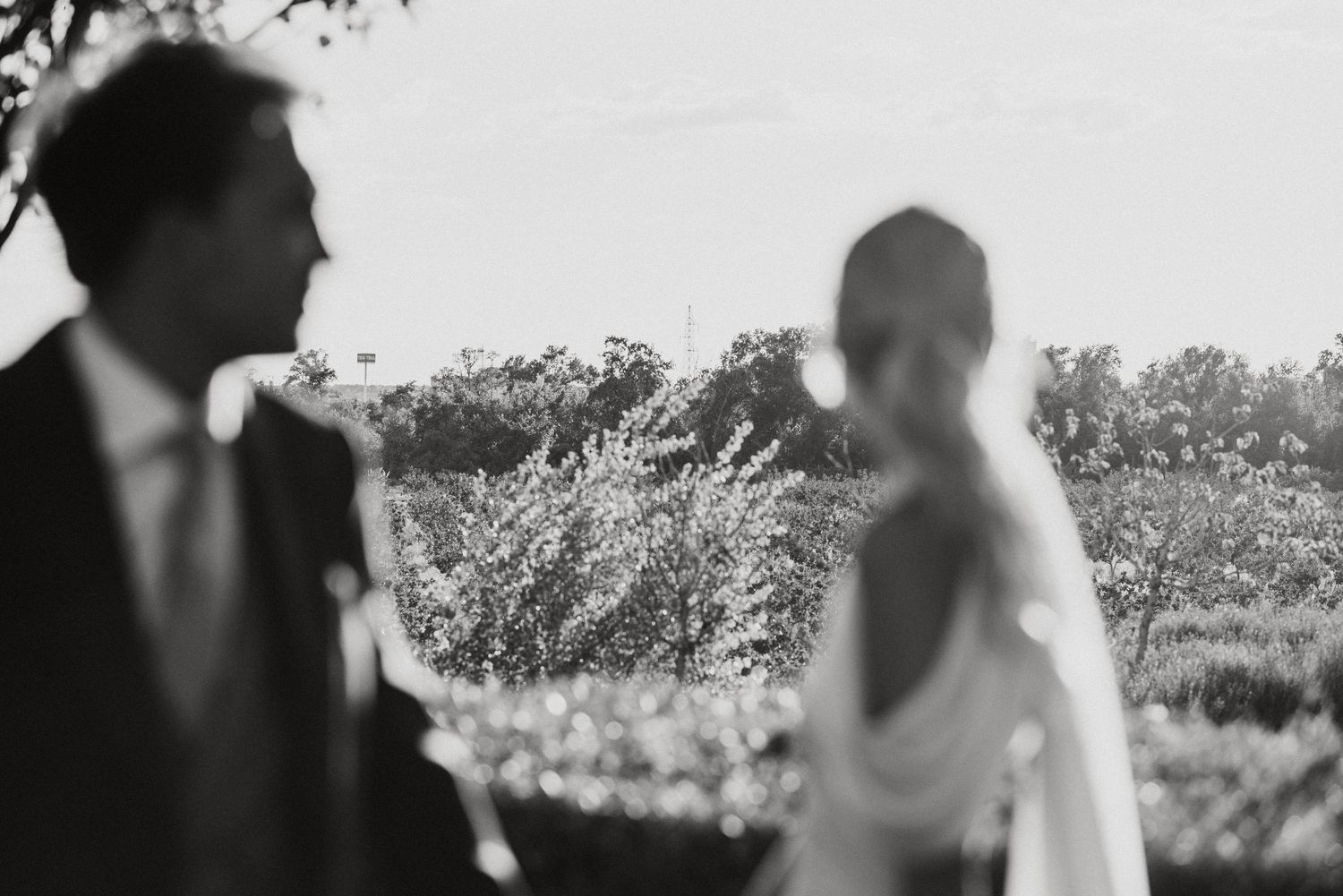 A series of black and white wedding photos showing romantic moments between a couple in a natural outdoor setting.