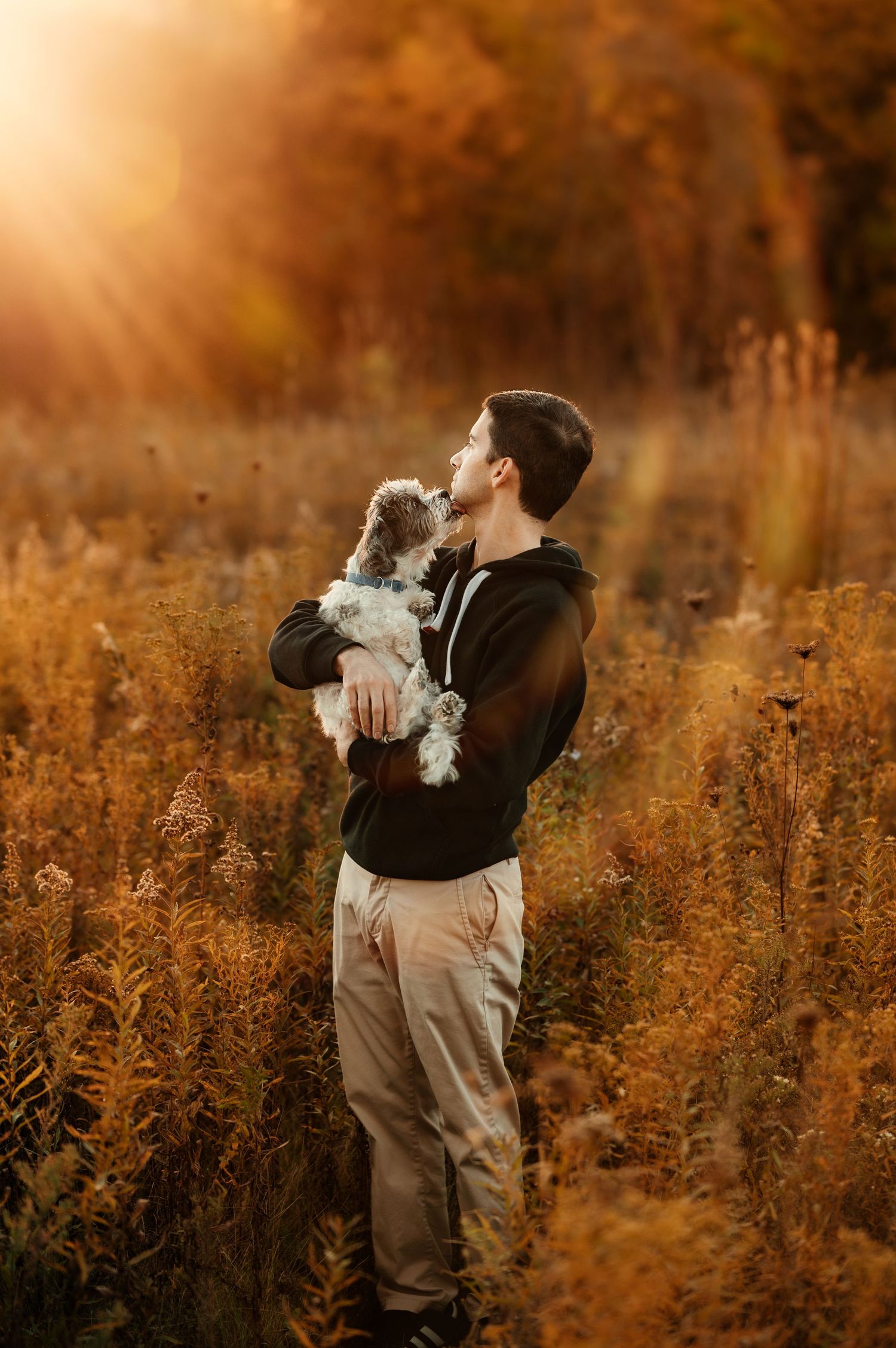 Person holding small white dog in golden field during sunset.