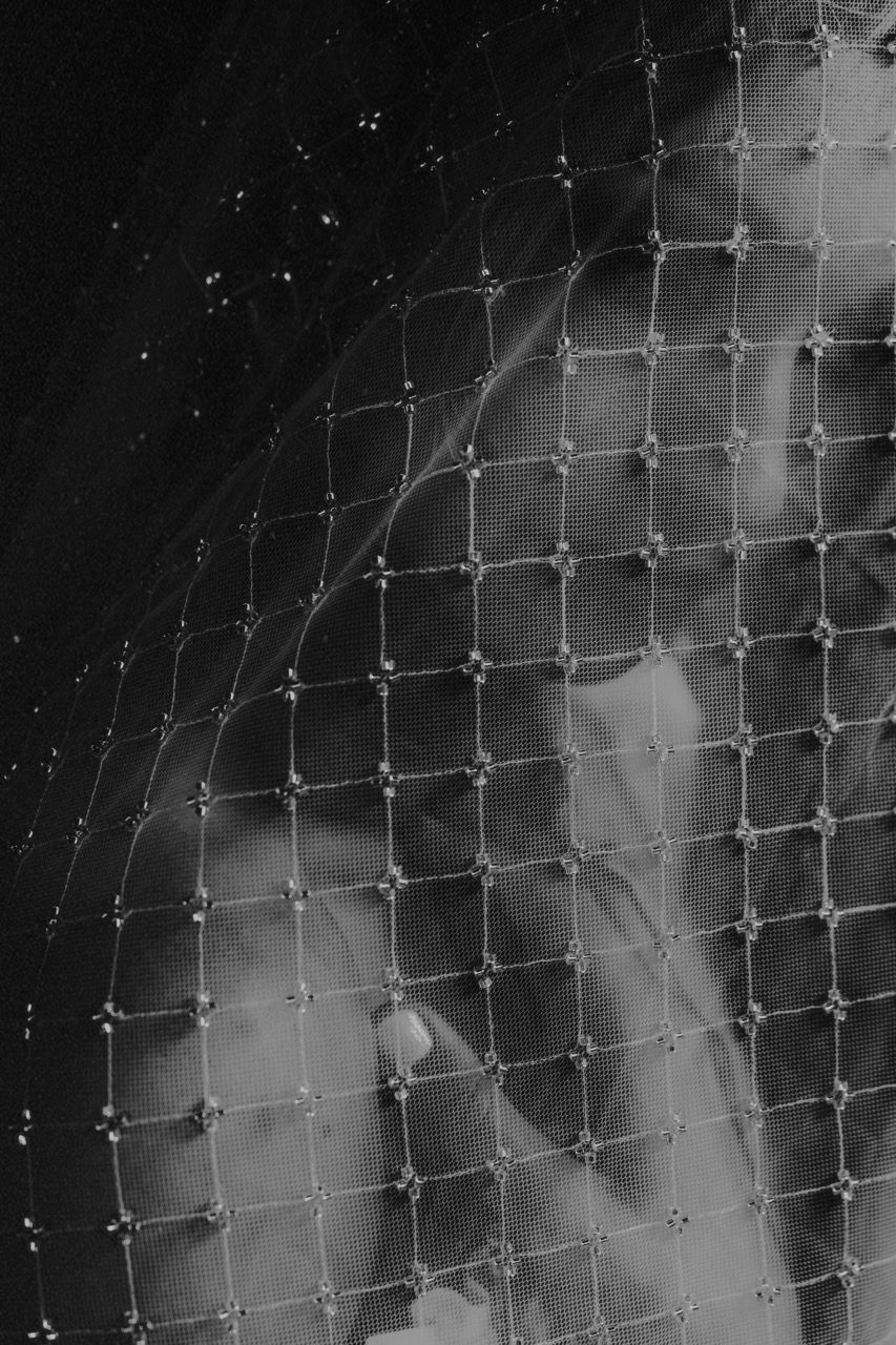 Black and white portrait of a woman seen through a beaded net veil with square pattern detailing.