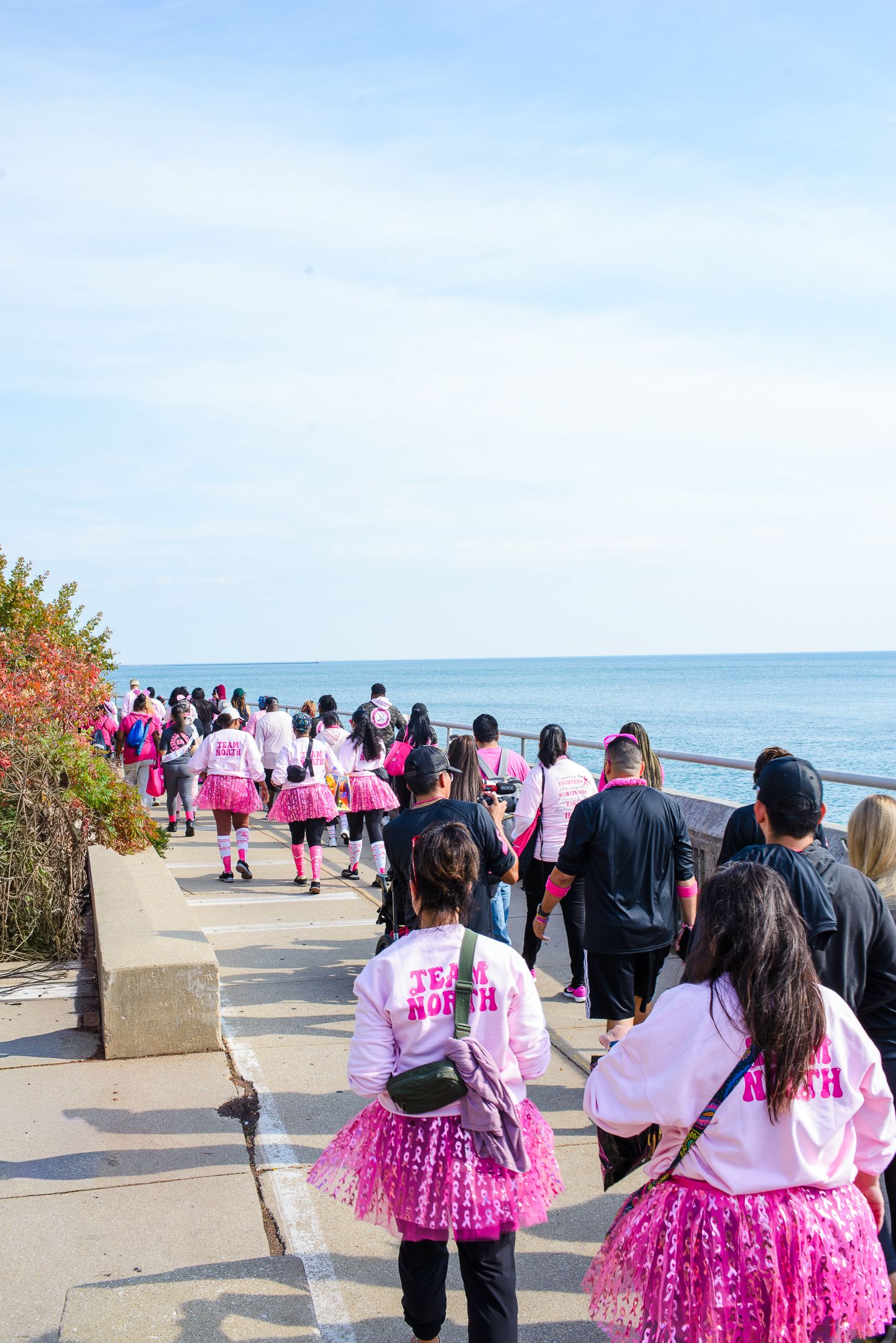 A group of people wearing pink tutus walk along a scenic oceanfront path during a charity event.