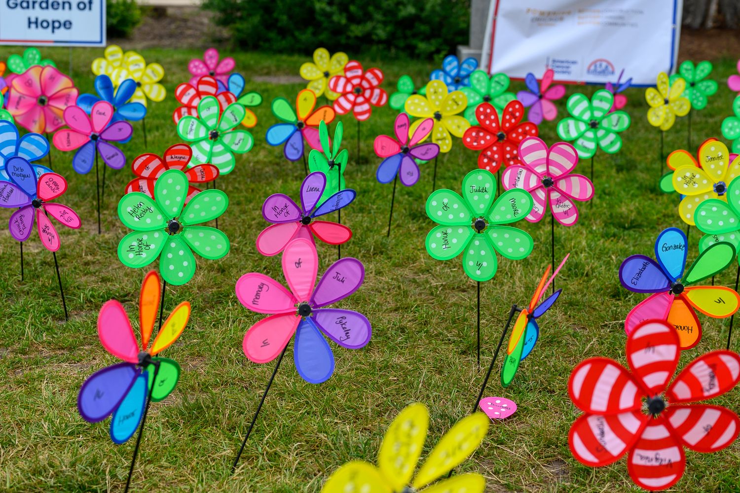Colorful pinwheel flowers displayed in the Garden of Hope at Walk & Roll Chicago charity event.
