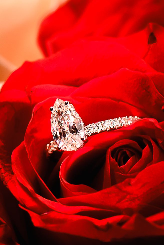 Pear-shaped diamond engagement ring with pavé band nestled in a vibrant red rose bloom.