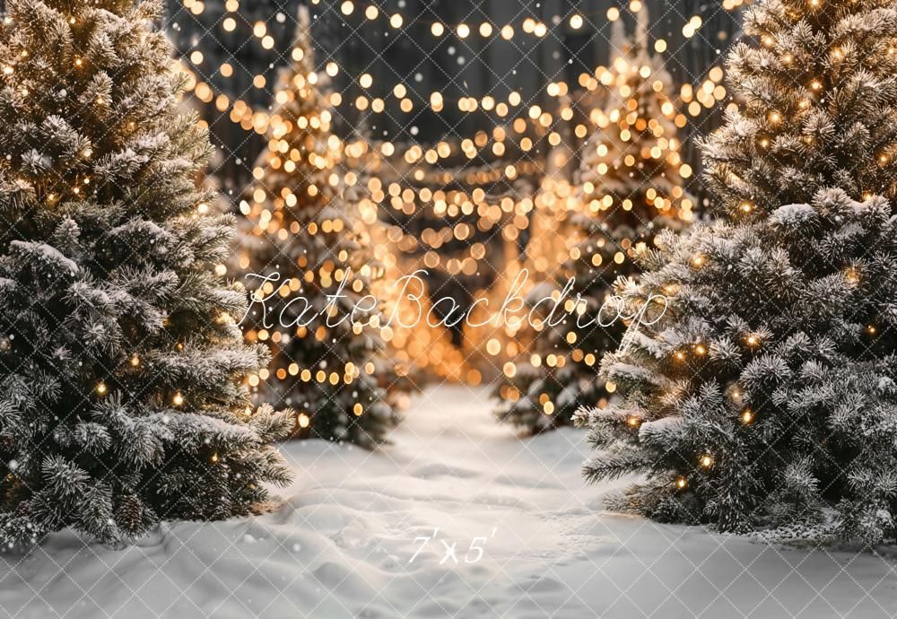 String lights illuminate snow-covered evergreen trees creating a magical winter scene at dusk.