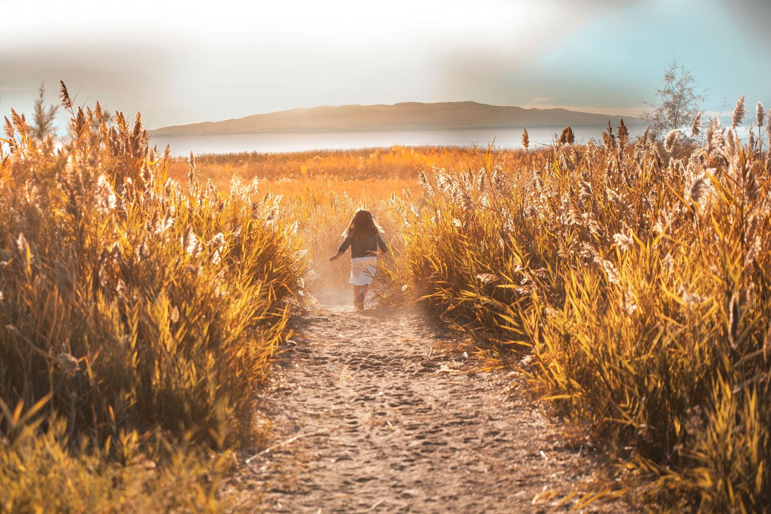 Figure walking on dirt path through golden wheat field at sunset with mountains in background.
