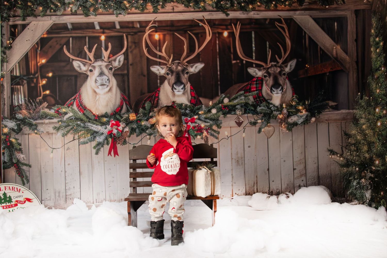 A festive outdoor holiday photo scene with mounted deer heads, snow, and rustic wooden backdrop decorations.