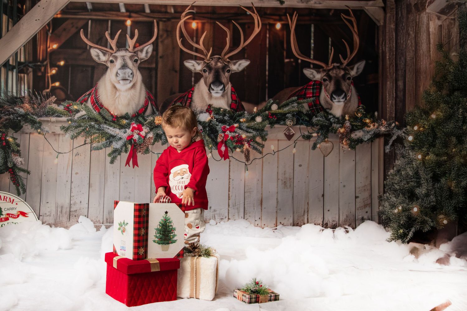 A rustic Christmas display with mounted deer heads, garlands, and red decorative elements against a white wooden wall.