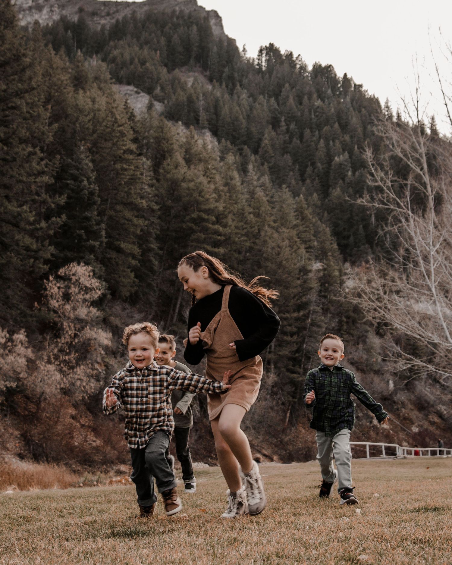 A playful scene of running and jumping in a field with mountains and forest in the background.