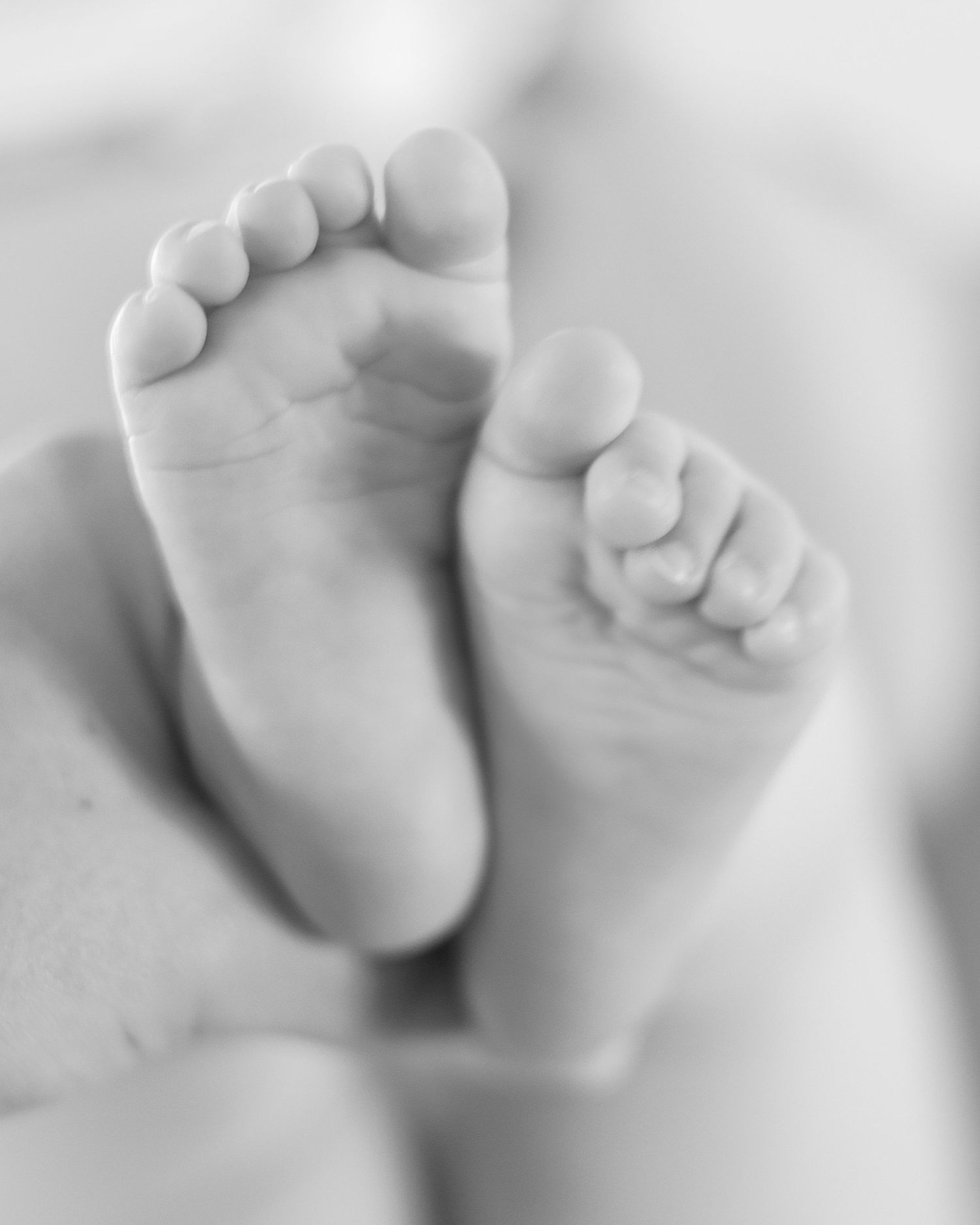 Tiny Toes