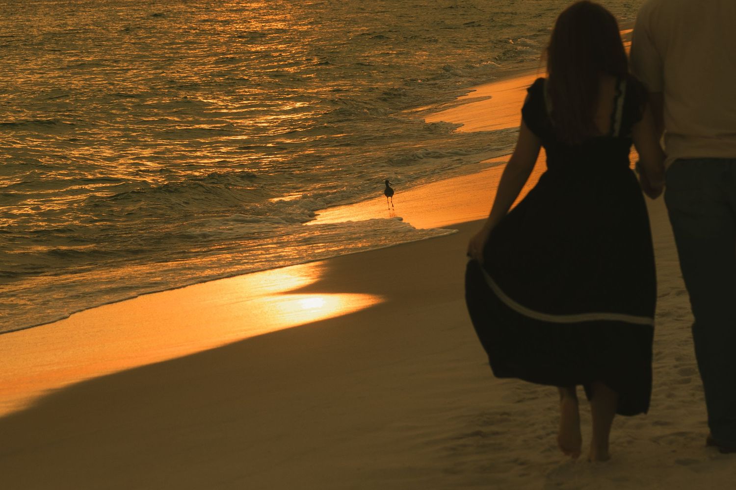 Fort Pickens Pensacola Photographer Florida Couples Proposal Cinematic Photographer on the Gulf Coast Moody Photos