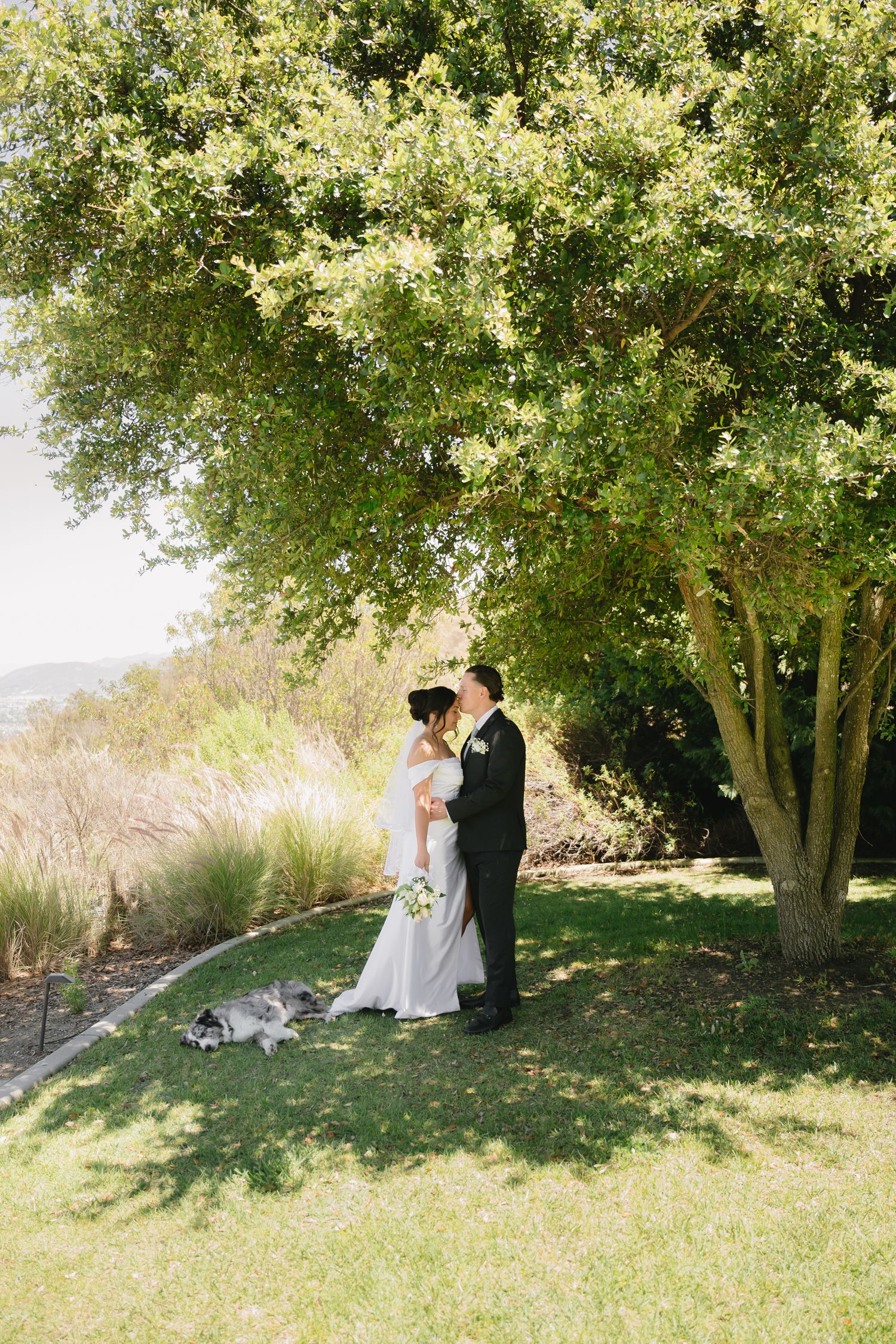 A bride and groom share a romantic kiss under a lush green tree on their wedding day in Temecula mansion.