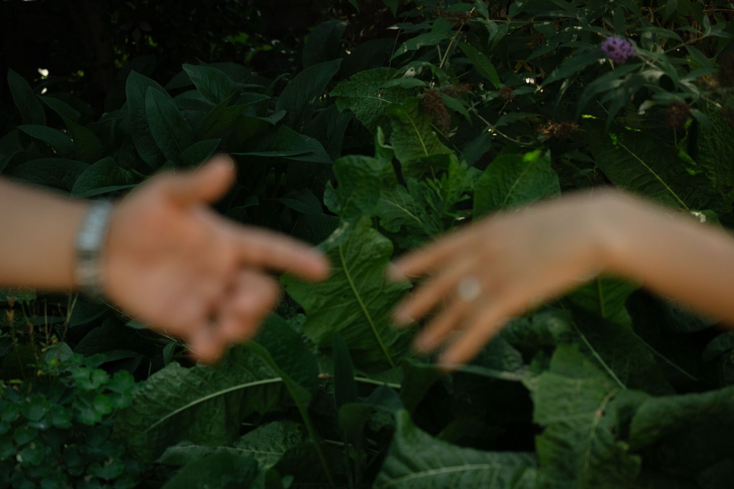 Two hands reaching toward each other against a lush green tropical garden background.