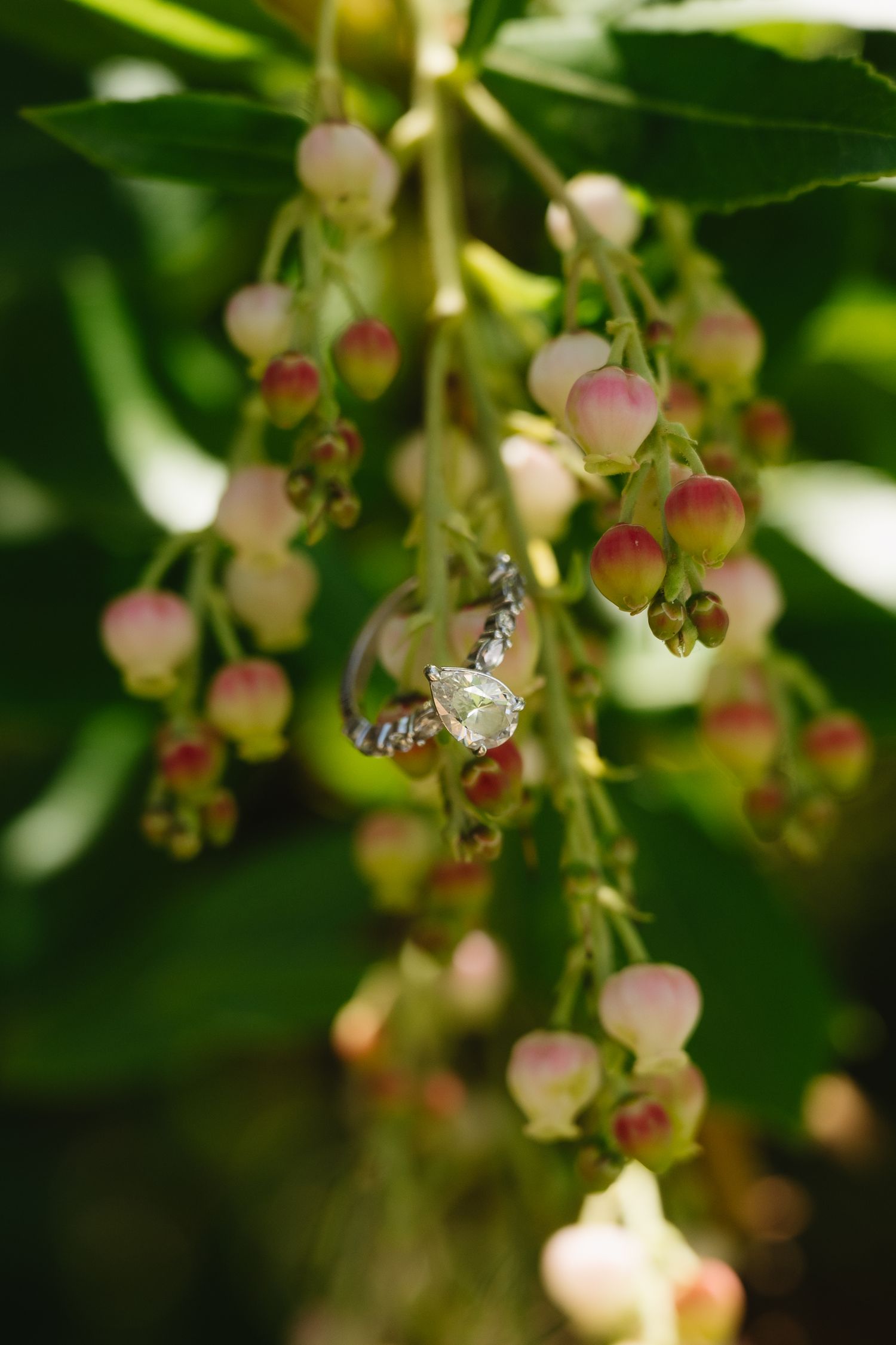 Diamond engagement ring hanging on pink flower at a Temecula private estate wedding captured by an Orange county photographer.
