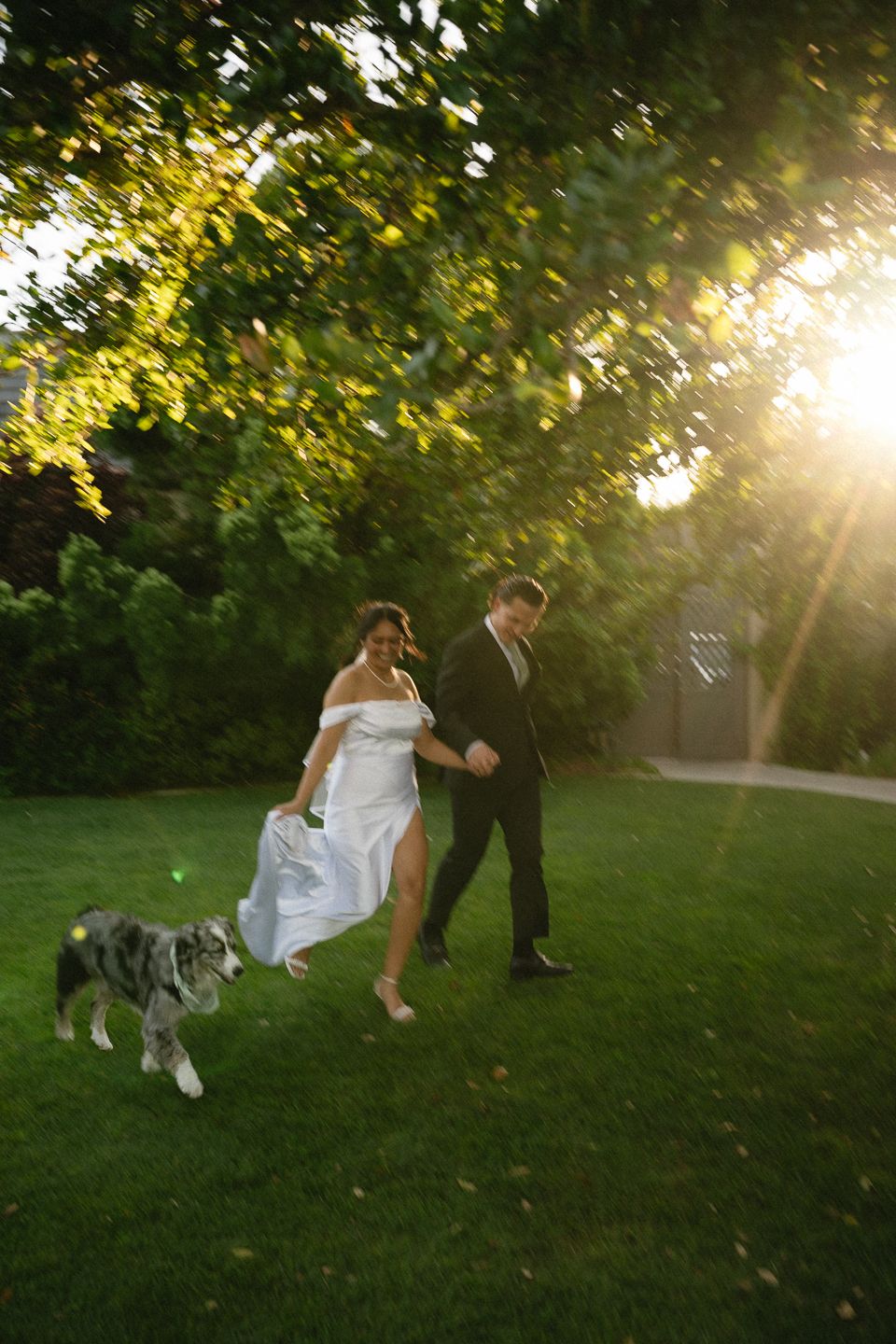 Bride and groom walking with their dog on green grass at sunset, golden light filtering through lush trees.