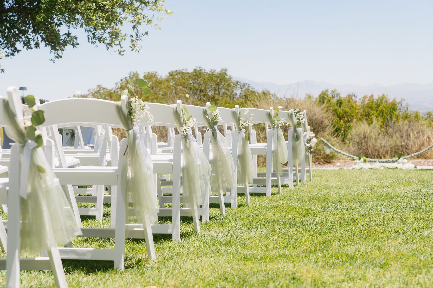 Rows of white folding chairs with sage green ribbon bows arranged on green grass for an outdoor wedding ceremony.