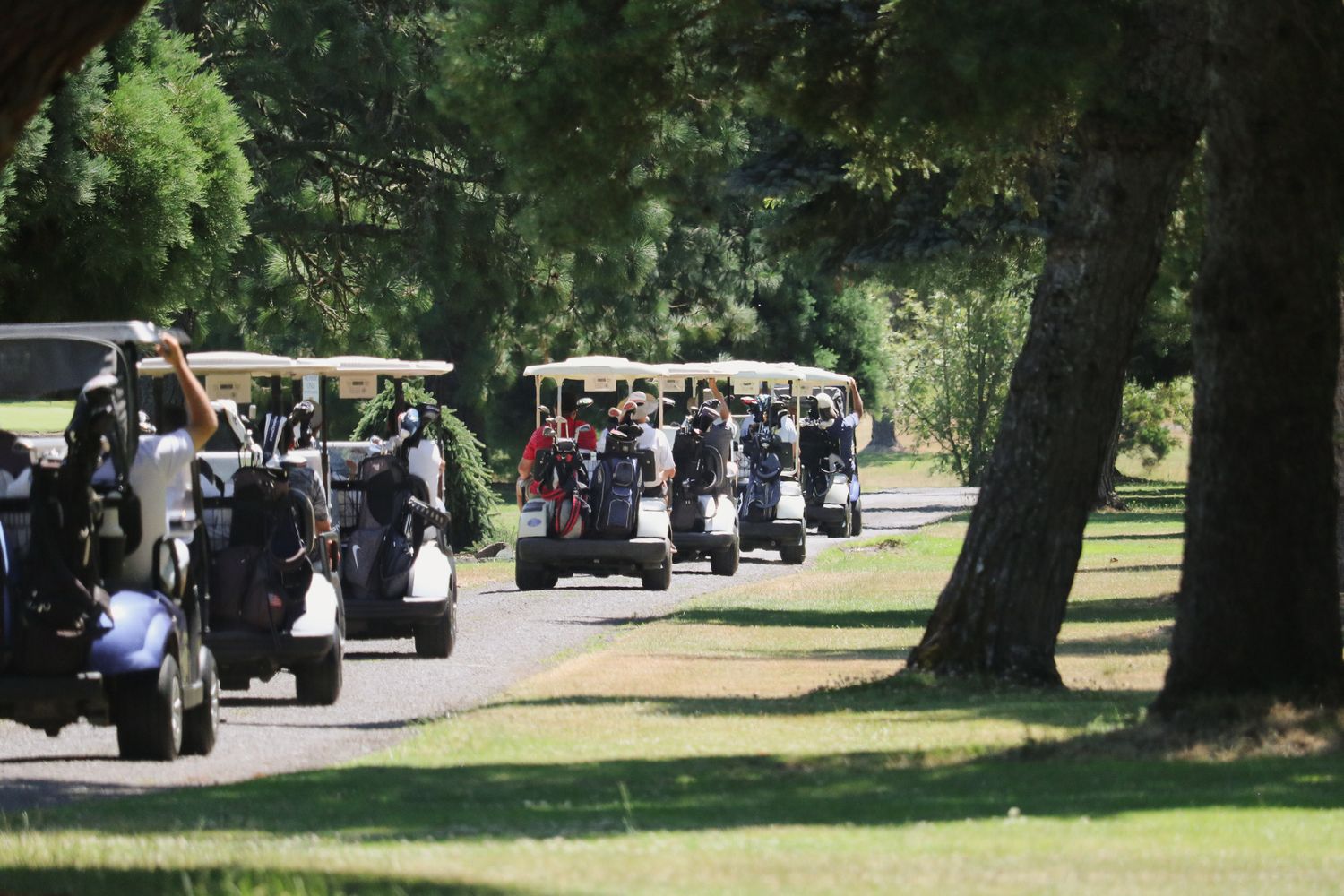 A long line of golf carts travels along a tree-lined path on a sunny golf course.