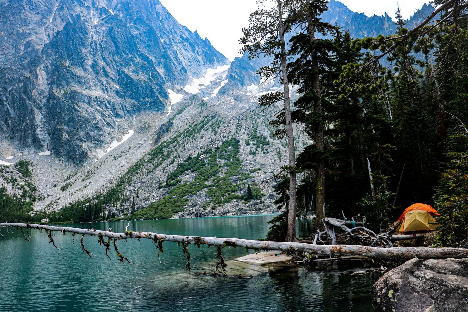 Scenic alpine lake with a tent, fallen logs, and snow-capped mountains in background.
