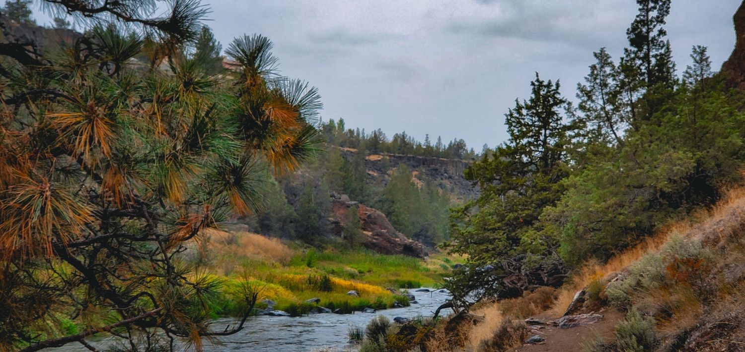 Scenic river winding through pine trees and colorful autumn foliage under a cloudy sky.