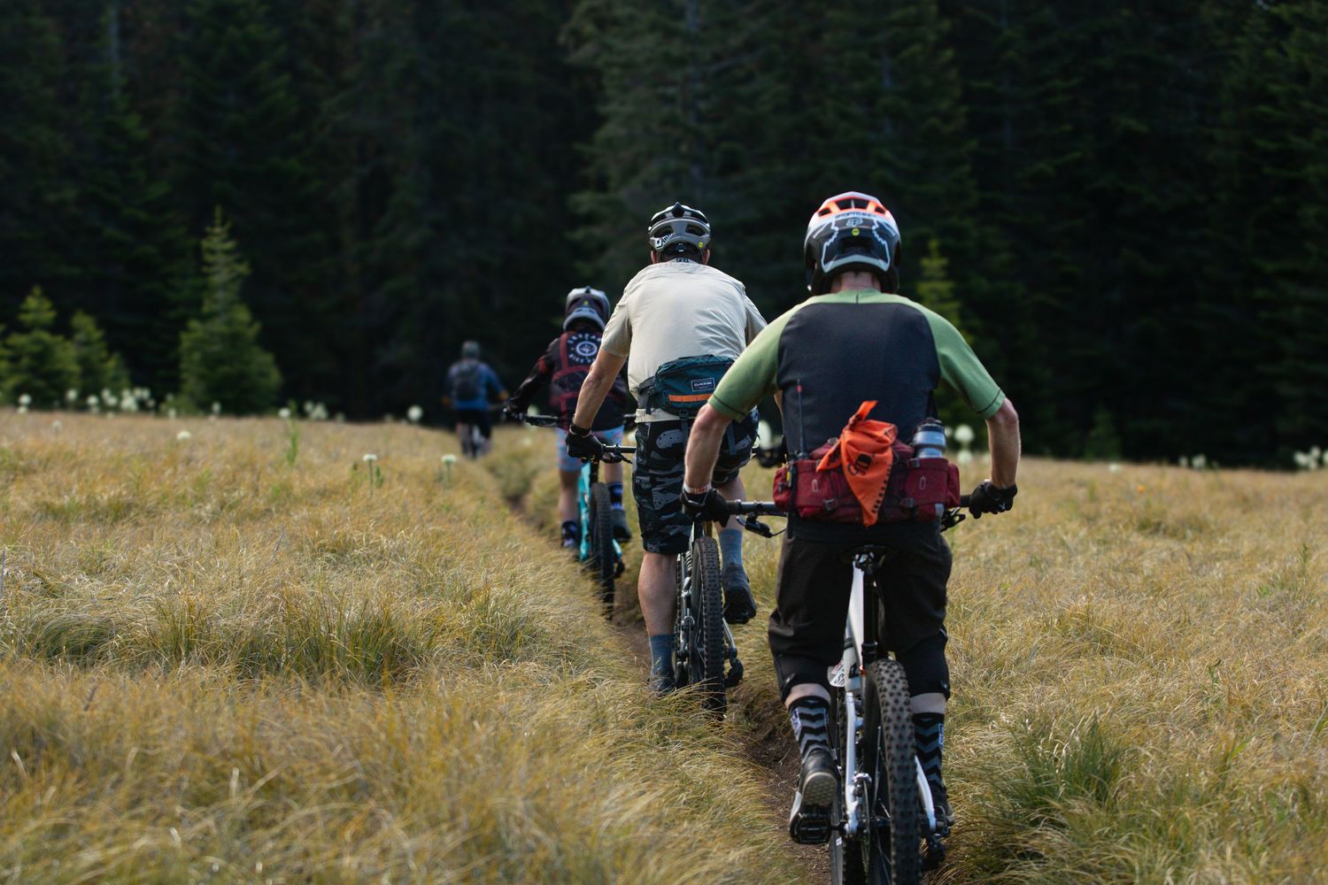 Group of mountain bikers riding single file through a meadow trail in forest.
