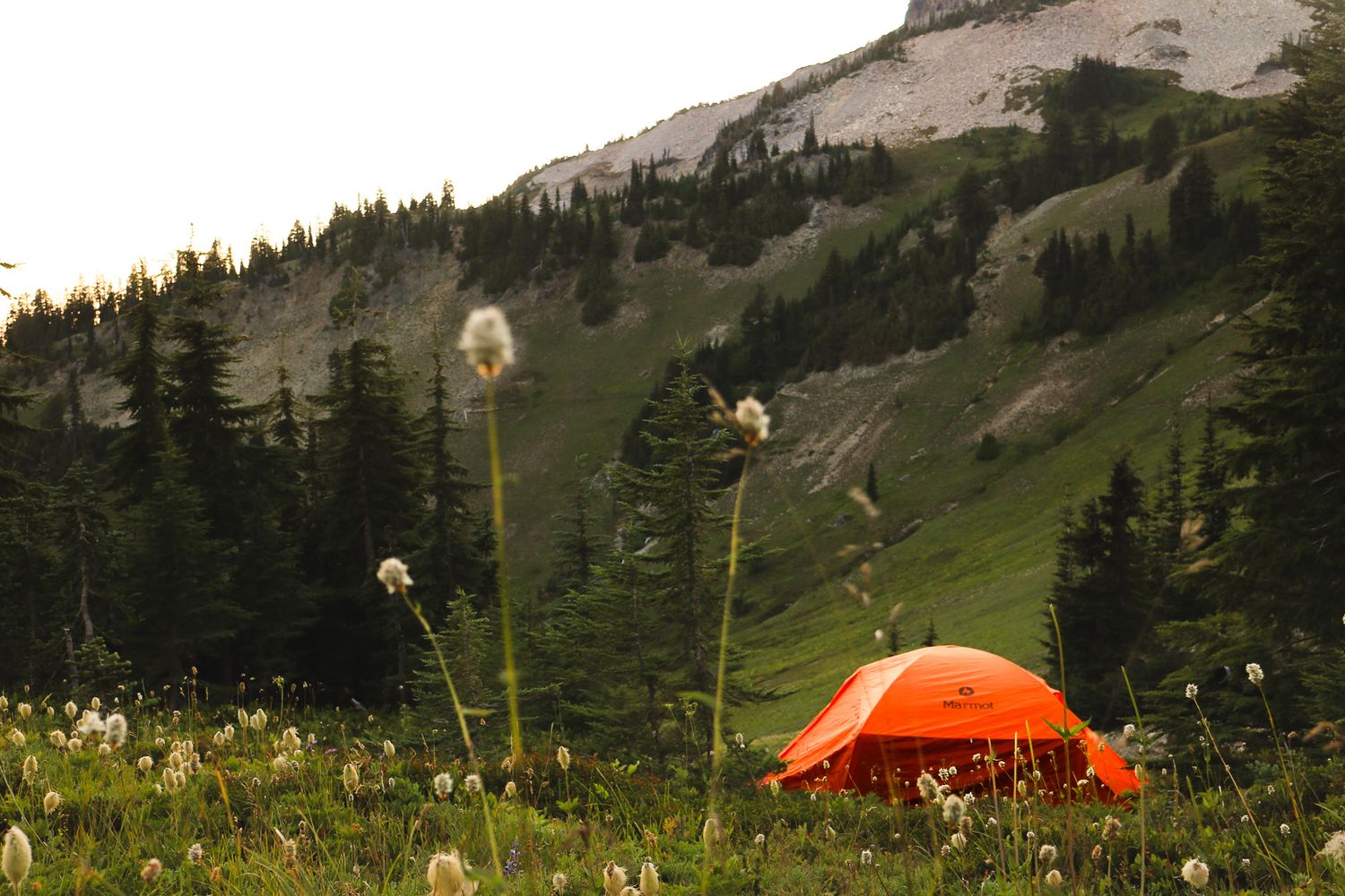 An orange camping tent sits in a wildflower meadow with evergreen trees and a mountain backdrop at dusk.
