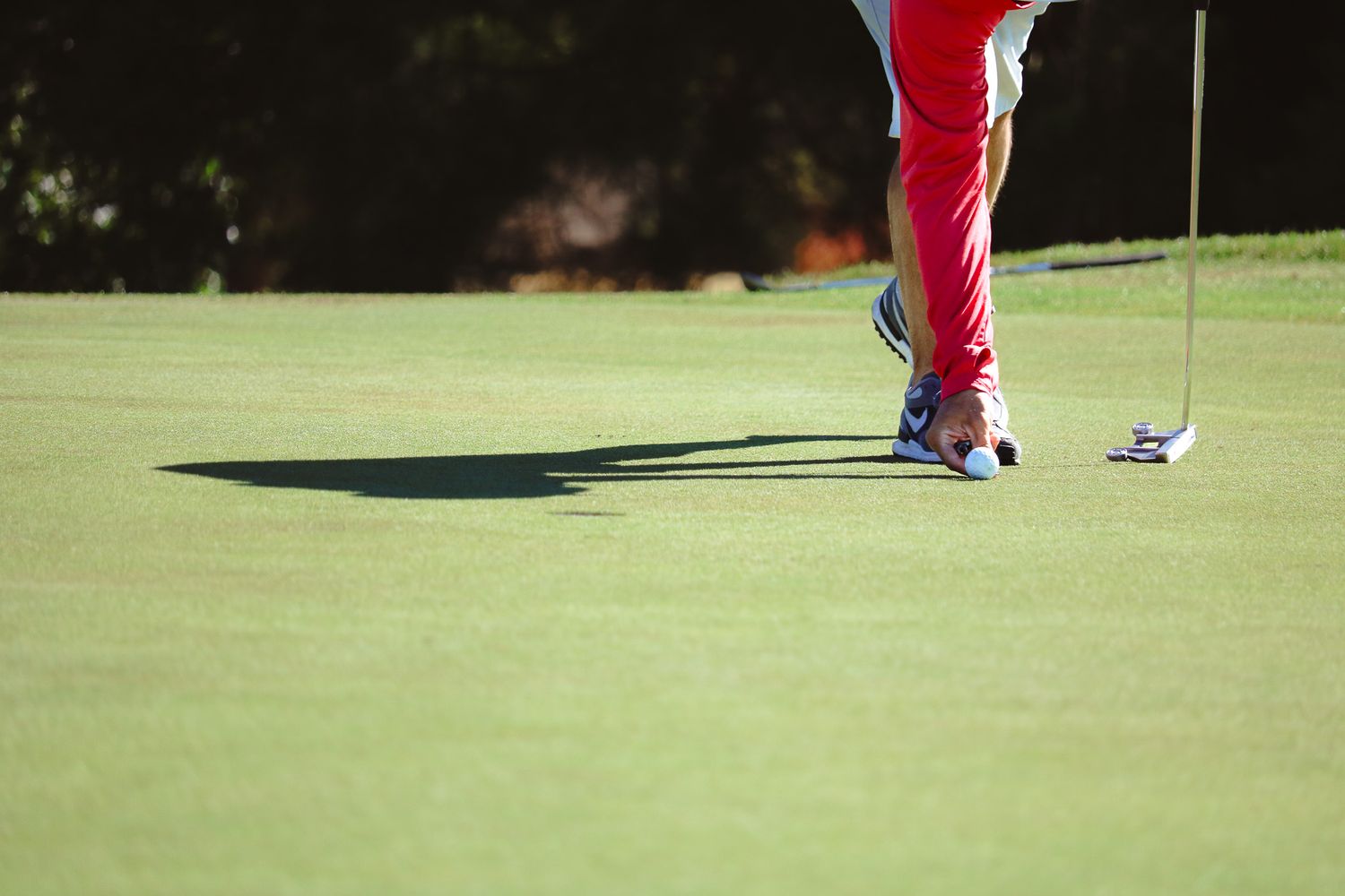 Golfer in red pants lining up a putt on a sunny green golf course.