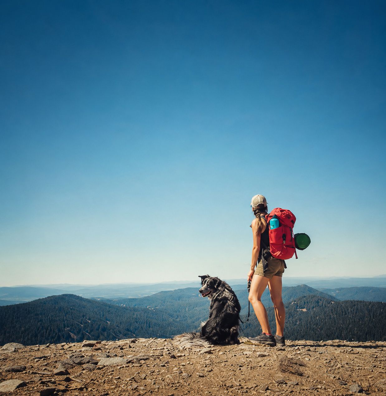 Female hiker with red backpack standing on mountain summit with Border Collie dog at her side.