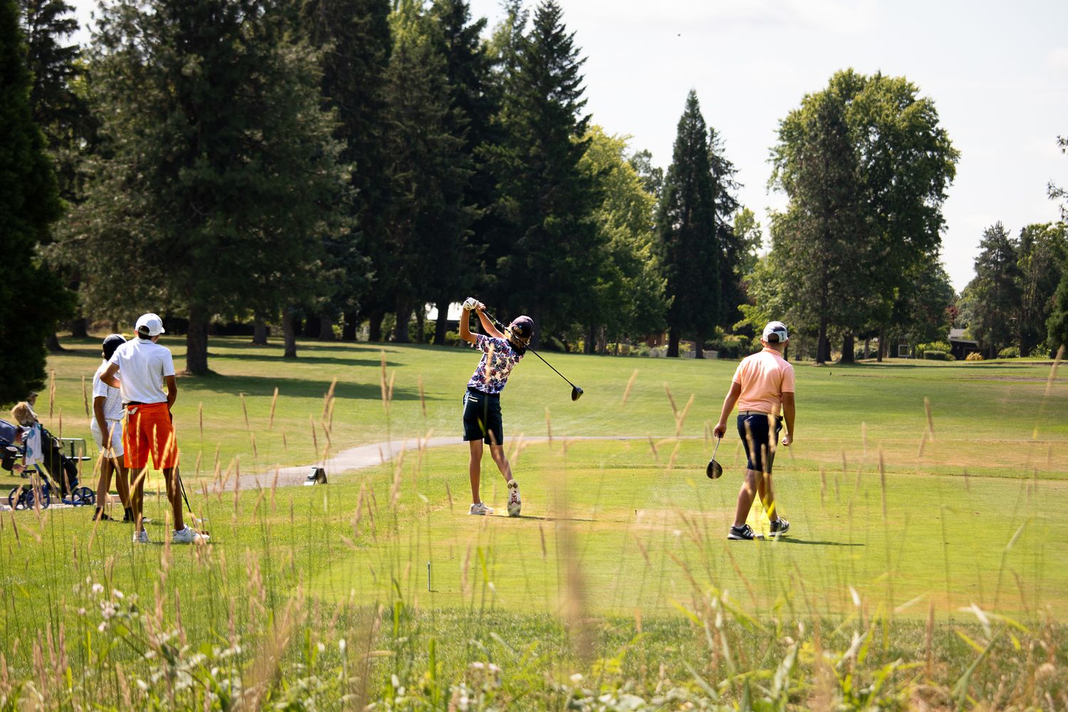 Golfers tee off on a sunny green golf course surrounded by tall trees in summer.