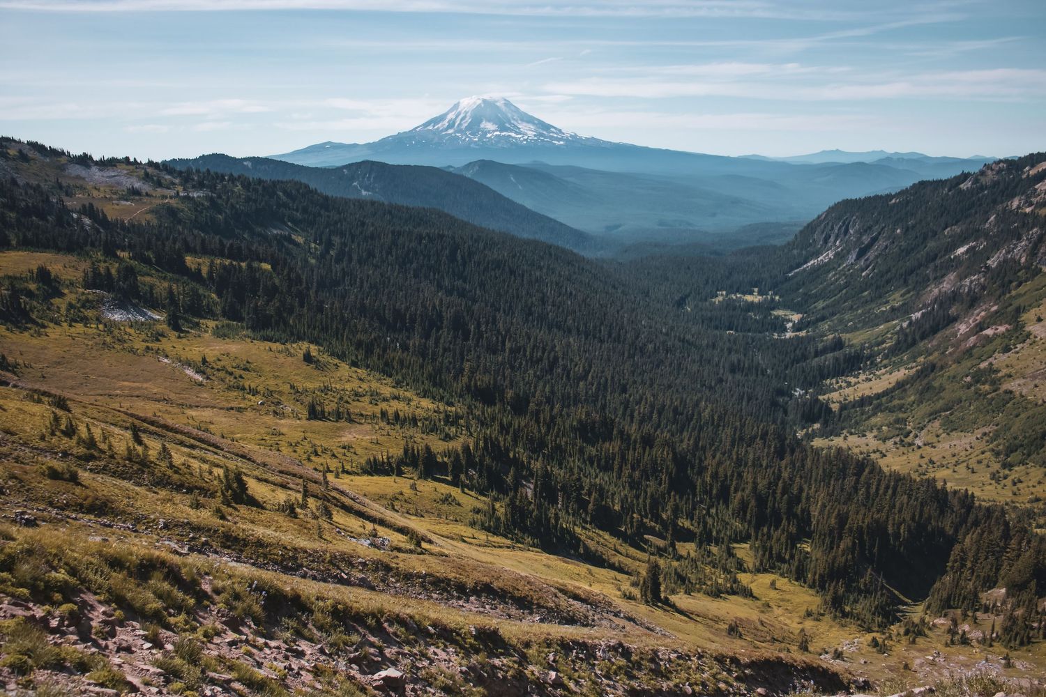 Panoramic view of snow-capped volcanic peak rising above a forested alpine valley under blue skies.