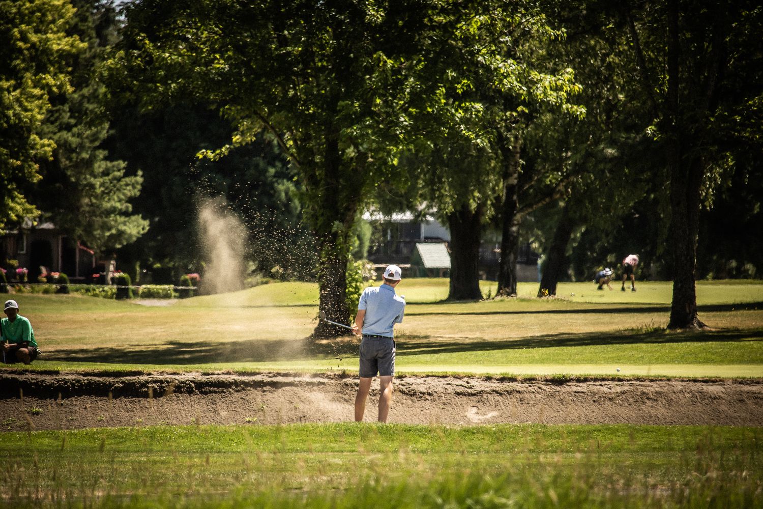 Golfer hitting a sand bunker shot on a lush green golf course surrounded by tall trees on a sunny day.