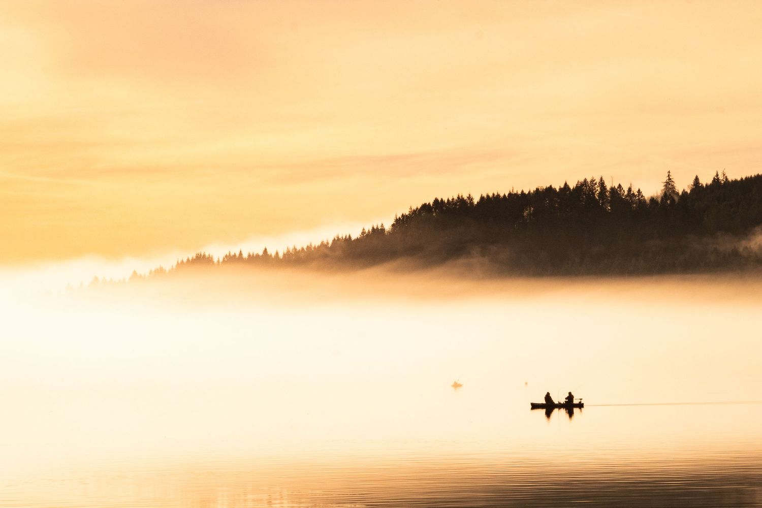 Two people canoeing on a foggy golden lake at sunrise surrounded by forested shoreline.