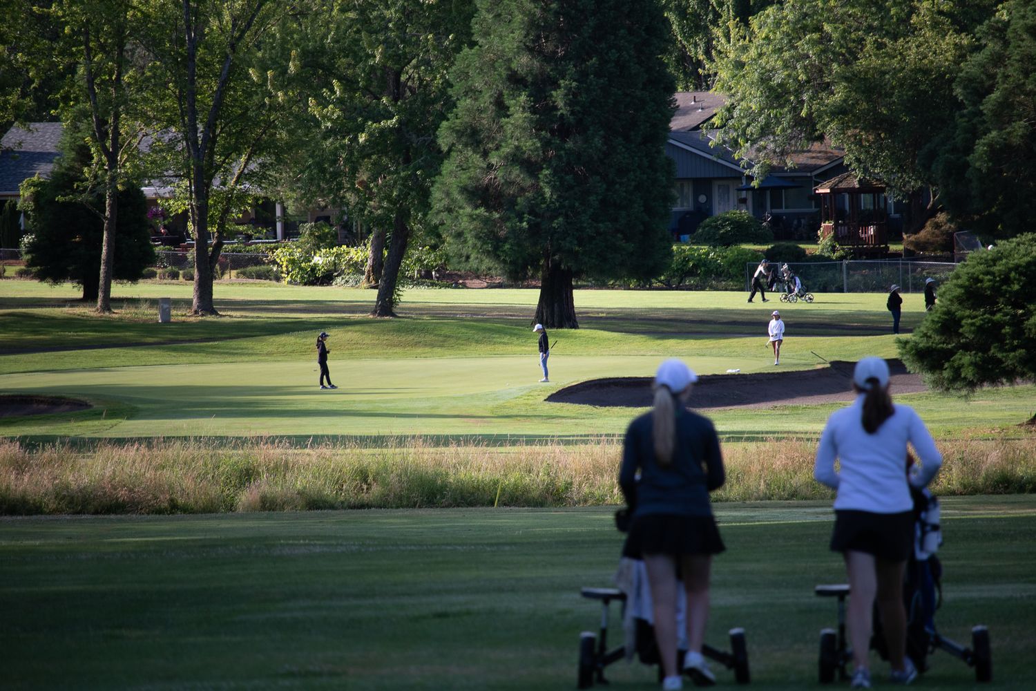 Golfers playing on a lush green golf course surrounded by tall trees on a sunny day.