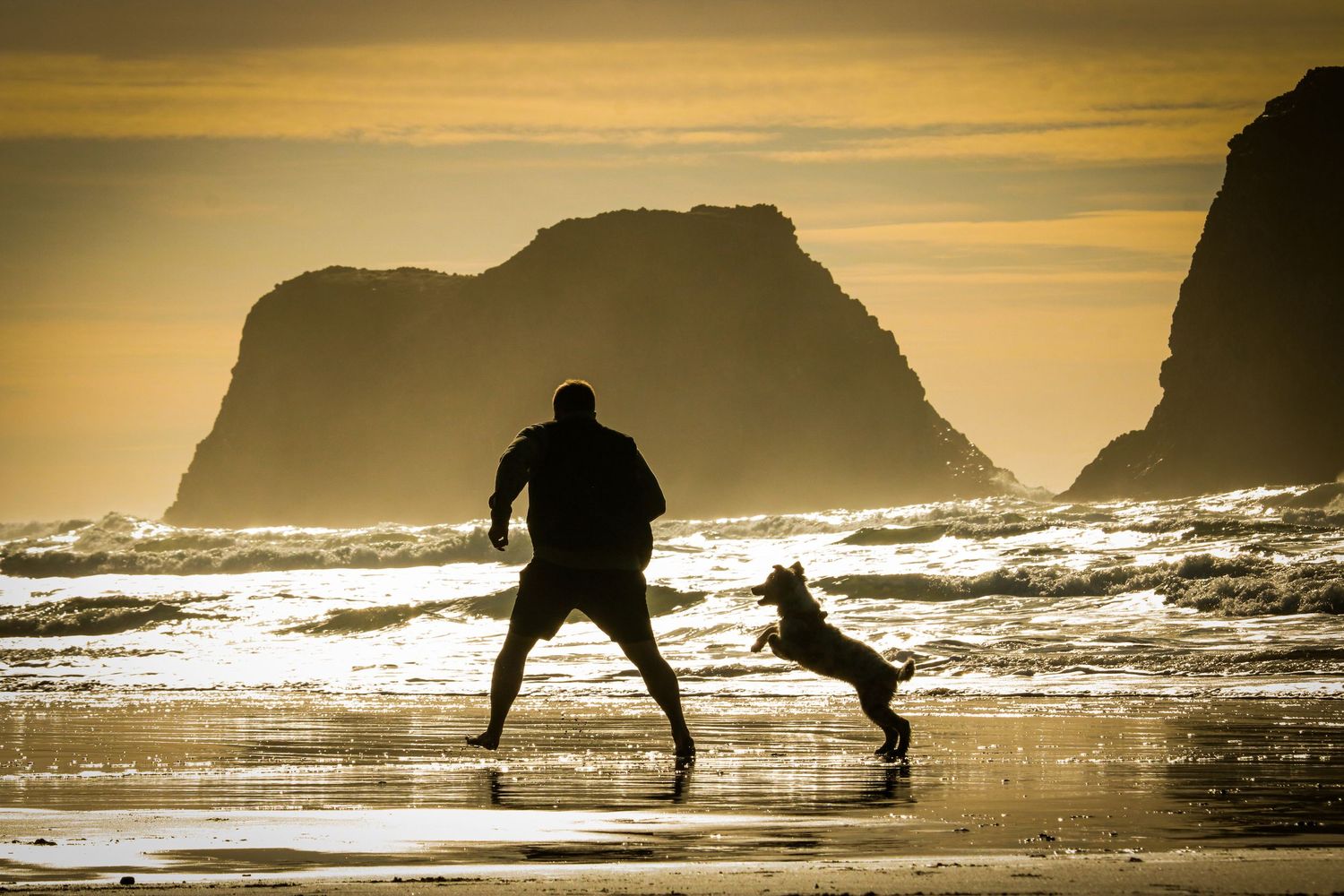Silhouette of man and dog playing on beach at sunset.