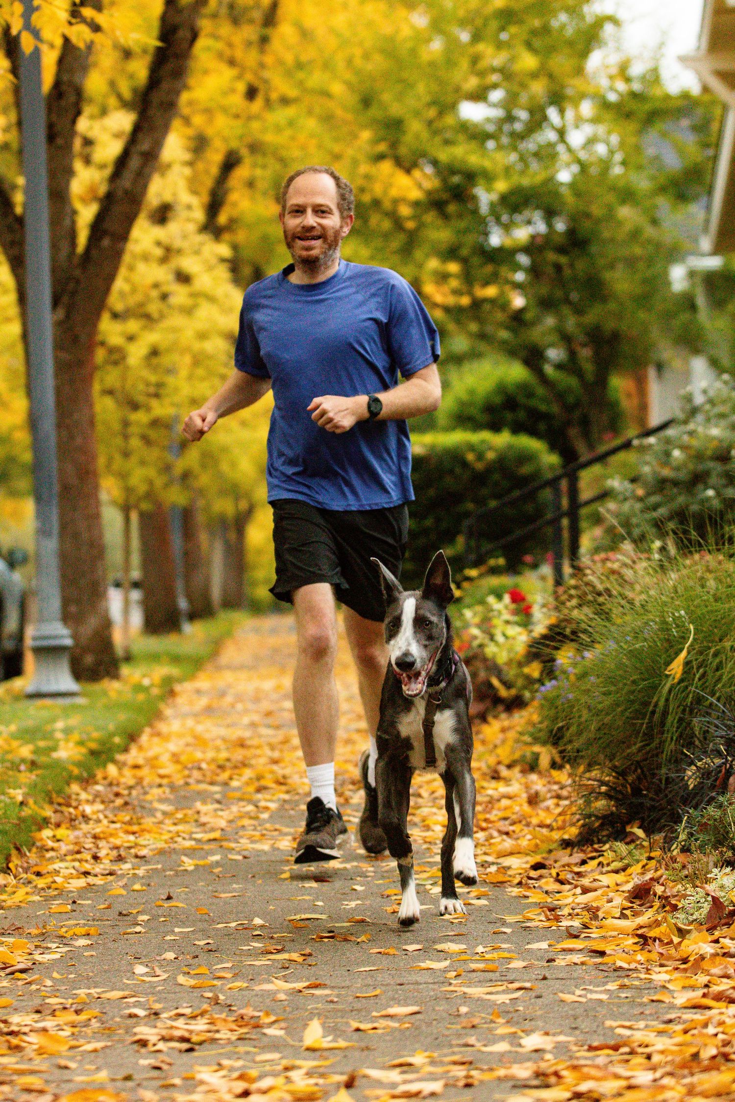 A smiling man in a blue shirt jogs with his black and white dog on a leaf-covered autumn sidewalk.