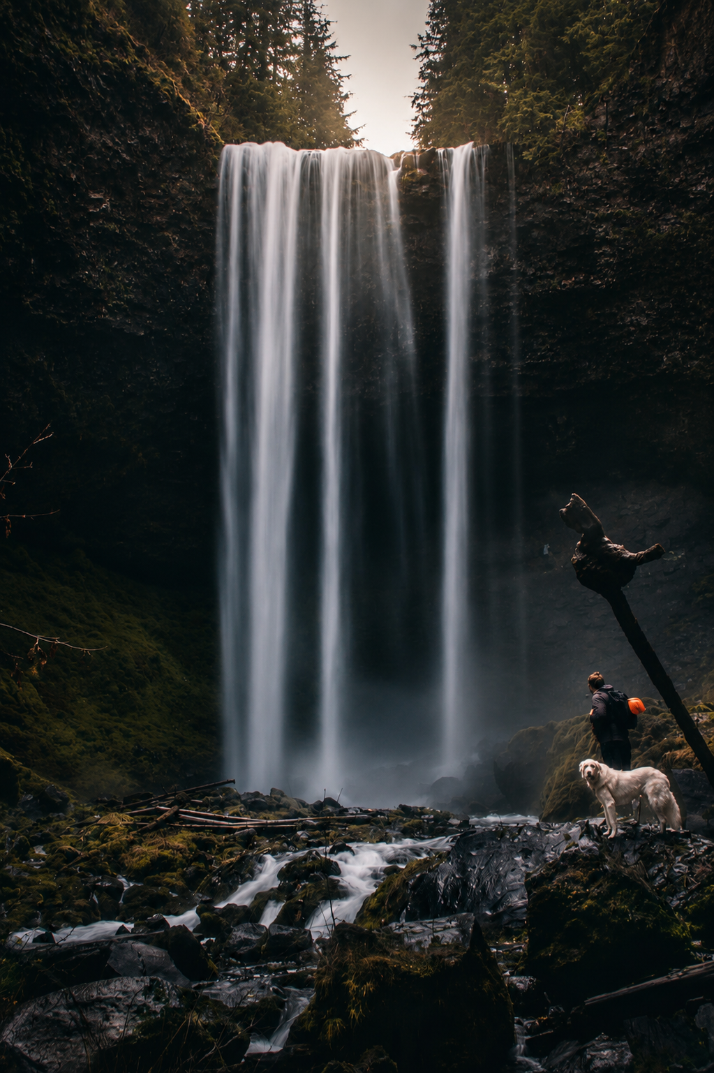 Hiker and white dog standing before a massive waterfall surrounded by lush forest.