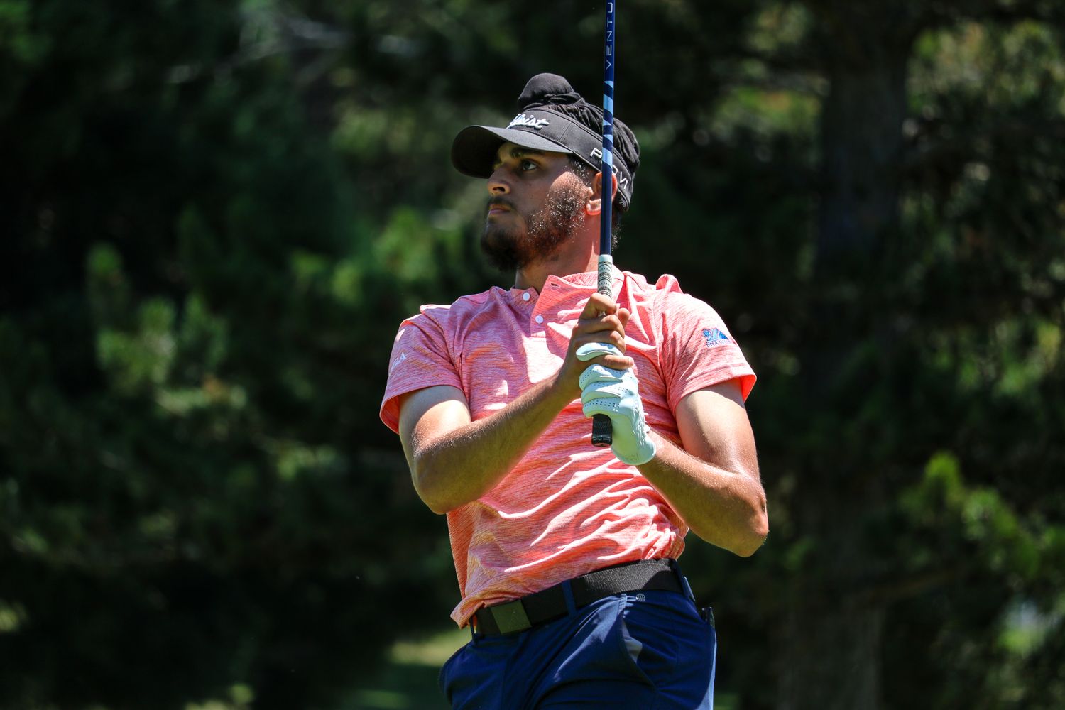 Male golfer in pink shirt watching his shot on a sunny tree-lined golf course.