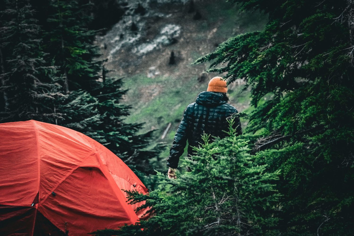 Hiker in orange beanie standing near red tent among dense green pine trees in mountains.