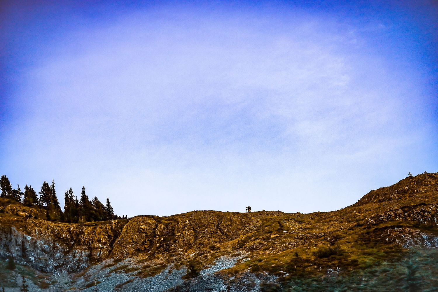 A rocky mountain ridge with sparse pine trees under a wide blue sky with wispy clouds.