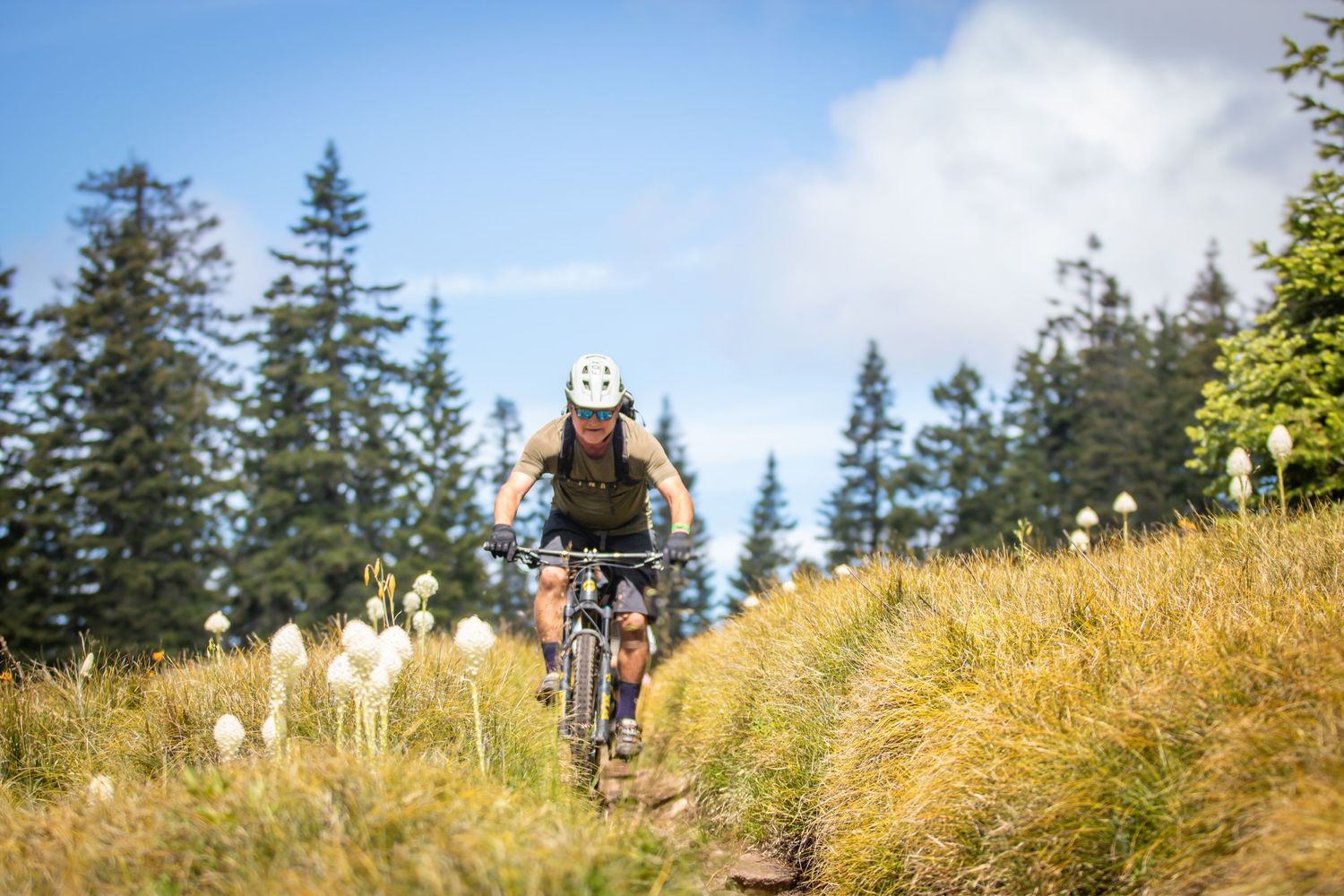 Mountain biker riding downhill on a scenic trail surrounded by wildflowers and evergreen trees.