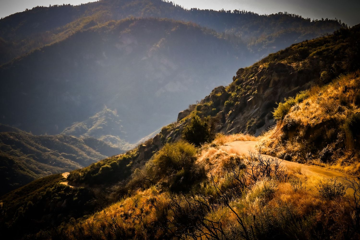 Winding mountain trail through golden brush with misty layered mountain ridges in the background.