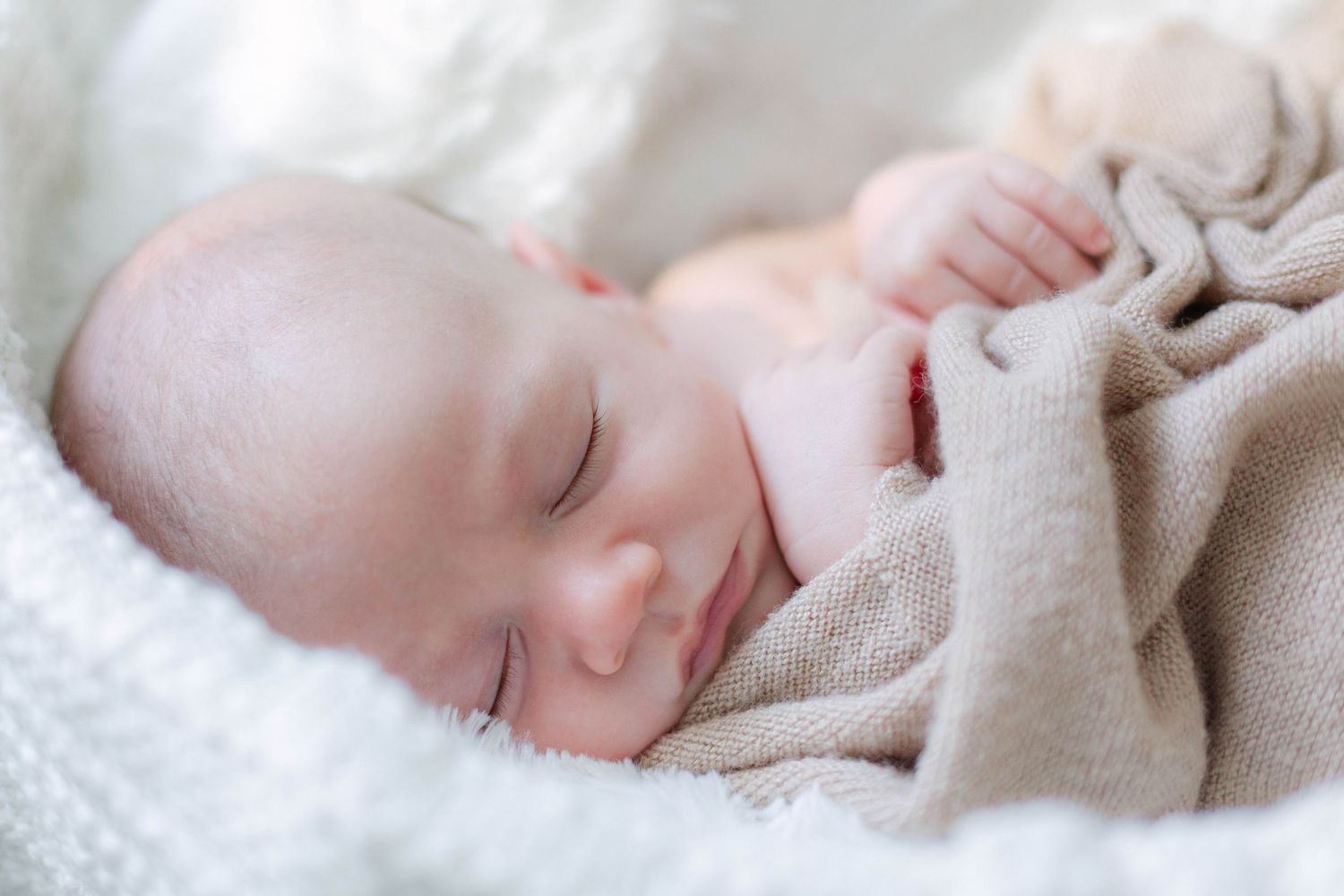 newborn photography south shore
