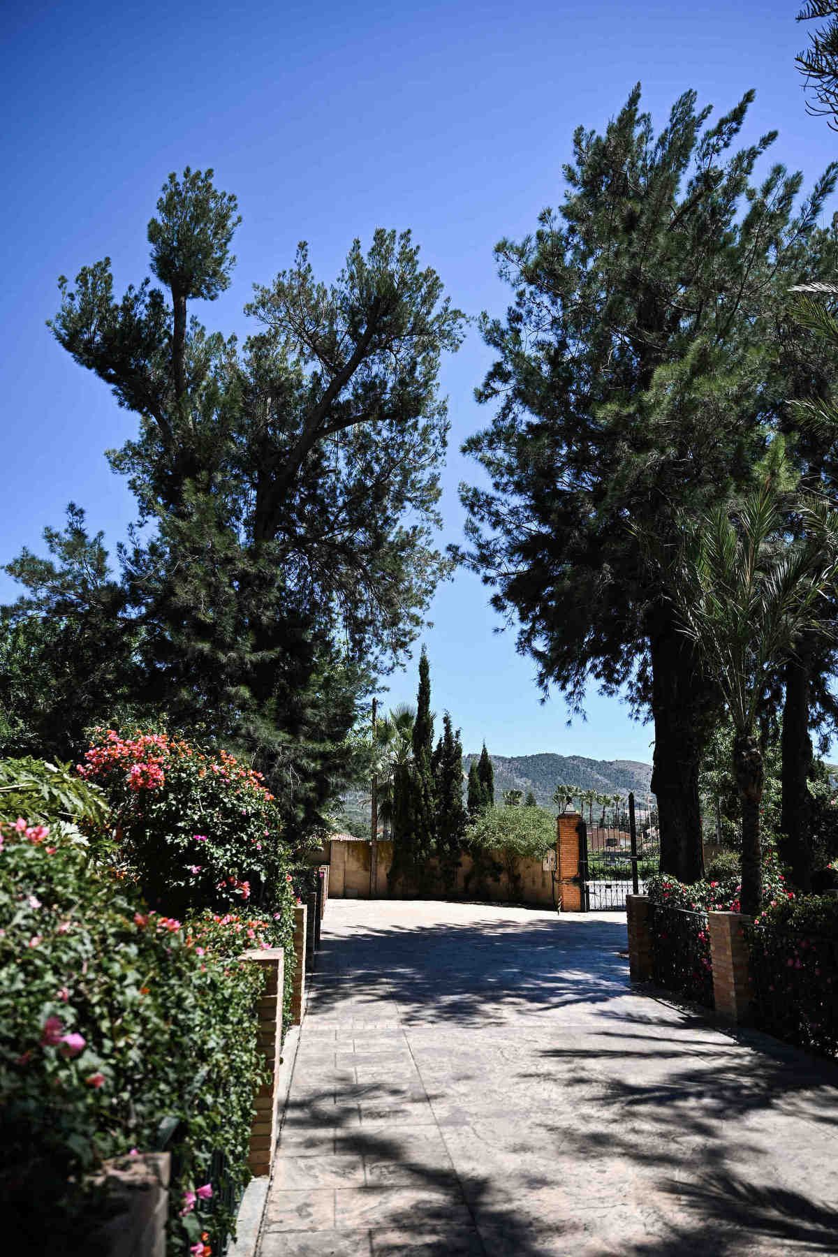Historic stone building and tall pine trees at Finca El Senyoret, a perfect outdoor wedding location near Benidorm.