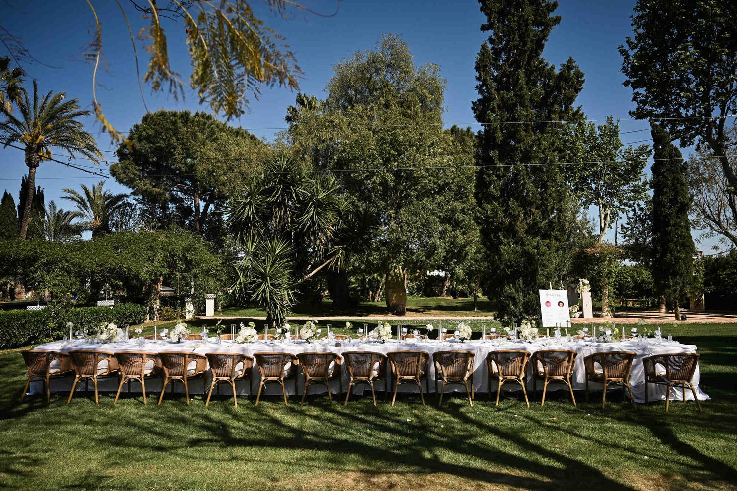 Long wedding banquet table set on the green lawn surrounded by palm and pine trees at Villa Paula historic estate