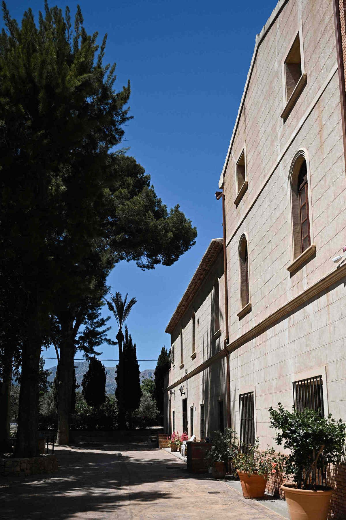 Scenic driveway leading to Finca El Senyoret wedding venue, surrounded by tall pine trees and distant Spanish mountains.